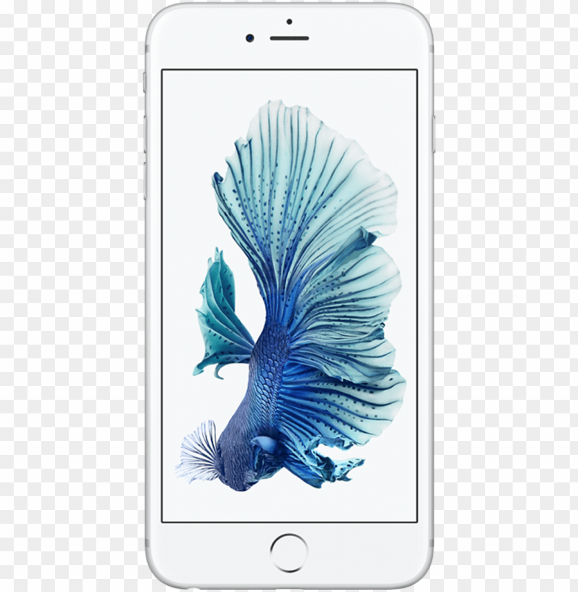 Chiêm ngưỡng chiếc điện thoại iPhone 6 phiên bản màu bạc sang trọng và tinh tế. Bộ ảnh PNG hoàn toàn trong suốt của sản phẩm sẽ khiến bạn khao khát sở hữu ngay và luôn. 
