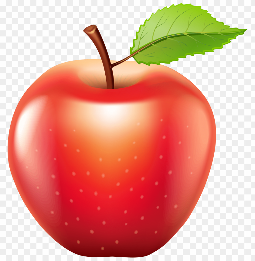 apple png clipart png photo - 35679