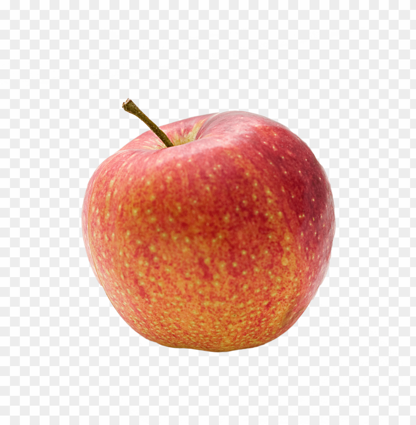 
fruit
, 
apple
, 
red
