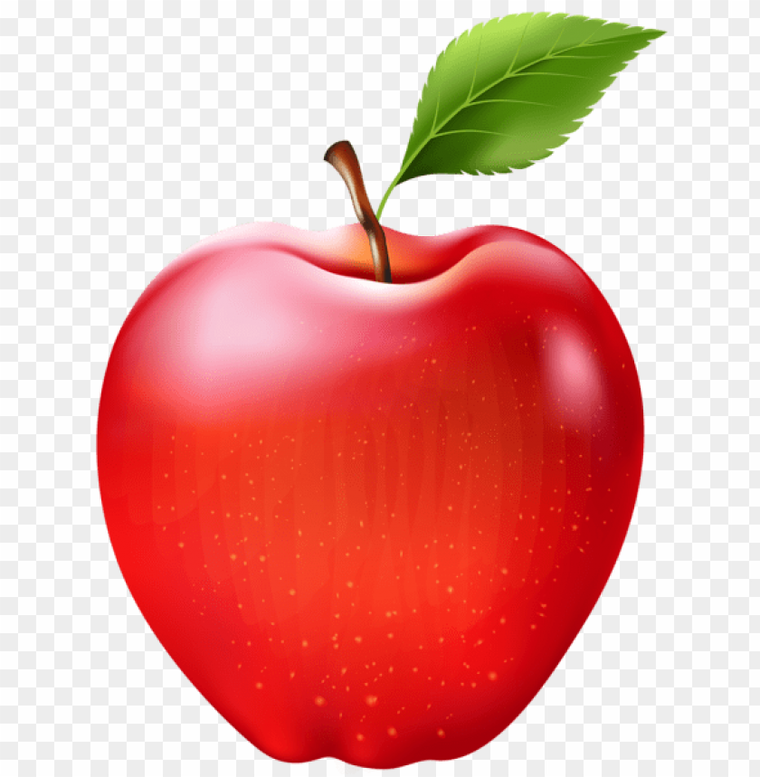 apple transparent png - Free PNG Images | TOPpng