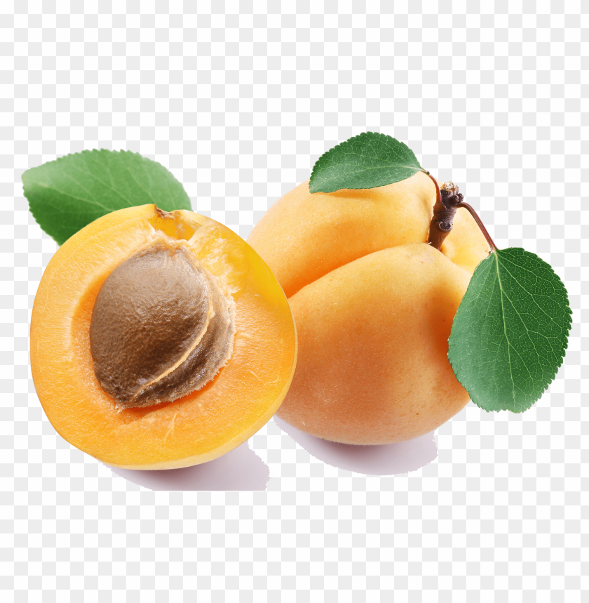 apricot png - Free PNG Images ID 6676