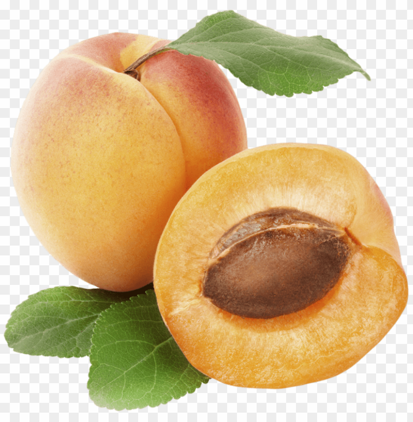 apricot PNG images with transparent backgrounds - Image ID 13152