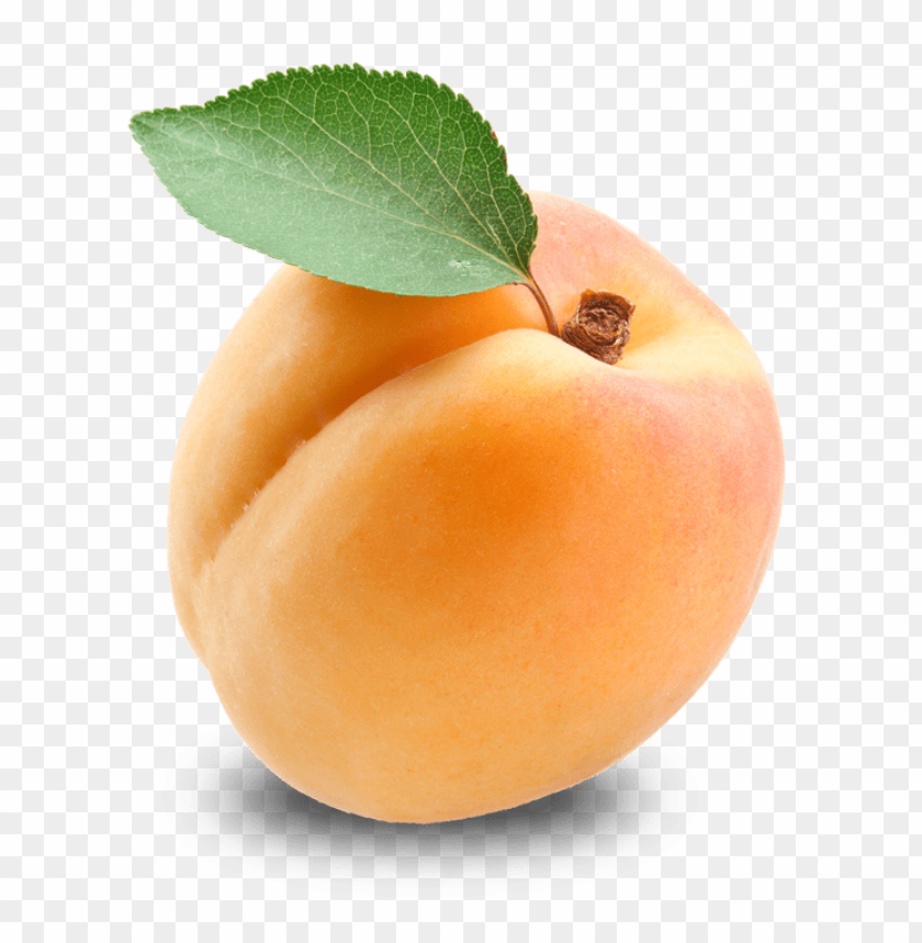 apricot PNG images with transparent backgrounds - Image ID 13154