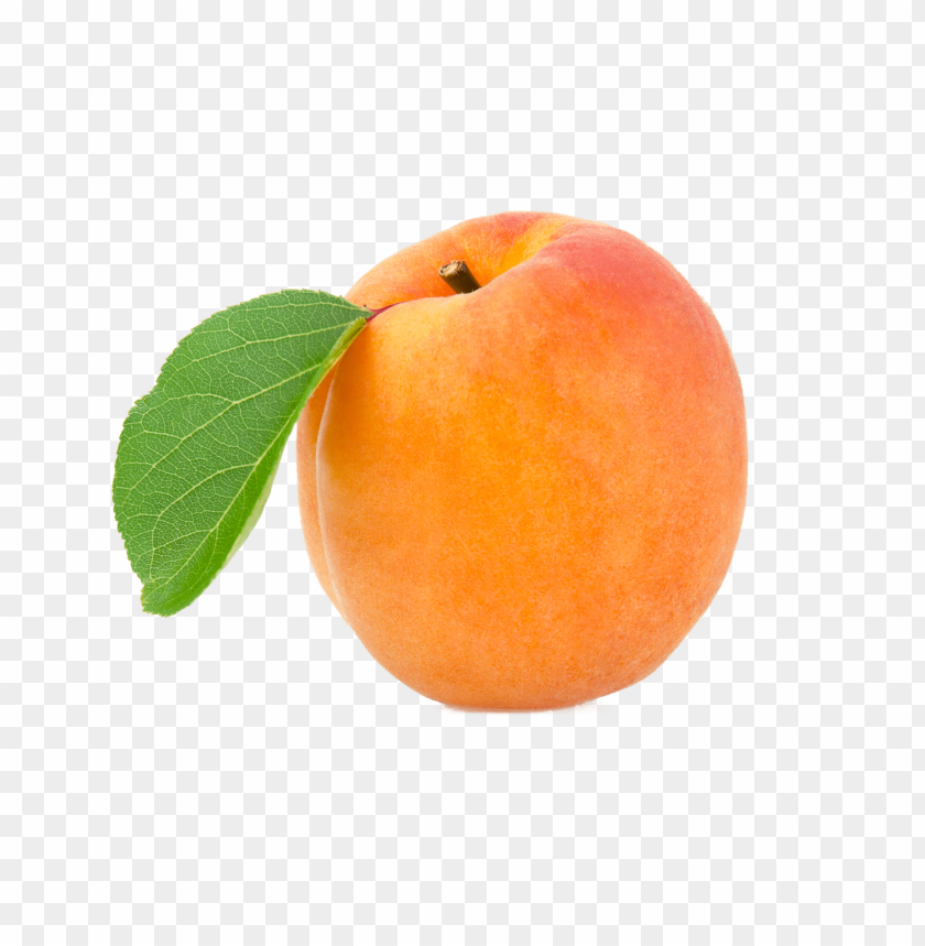 
apricot
, 
fruit
, 
fresh
, 
orange
, 
apricots
, 
ume
