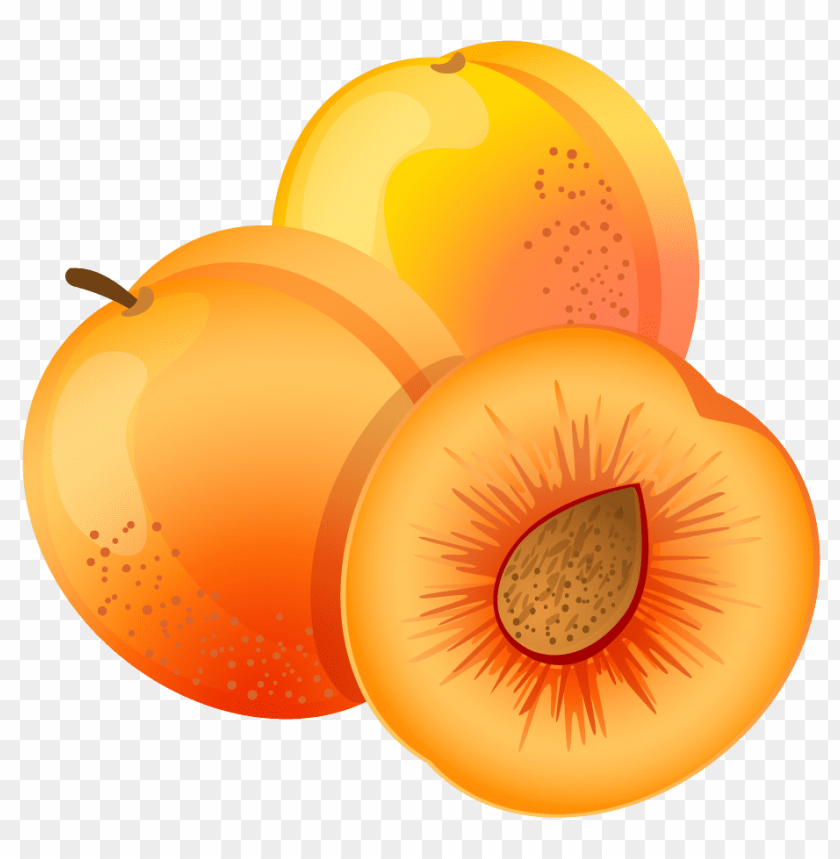 apricot clipart png photo - 28632