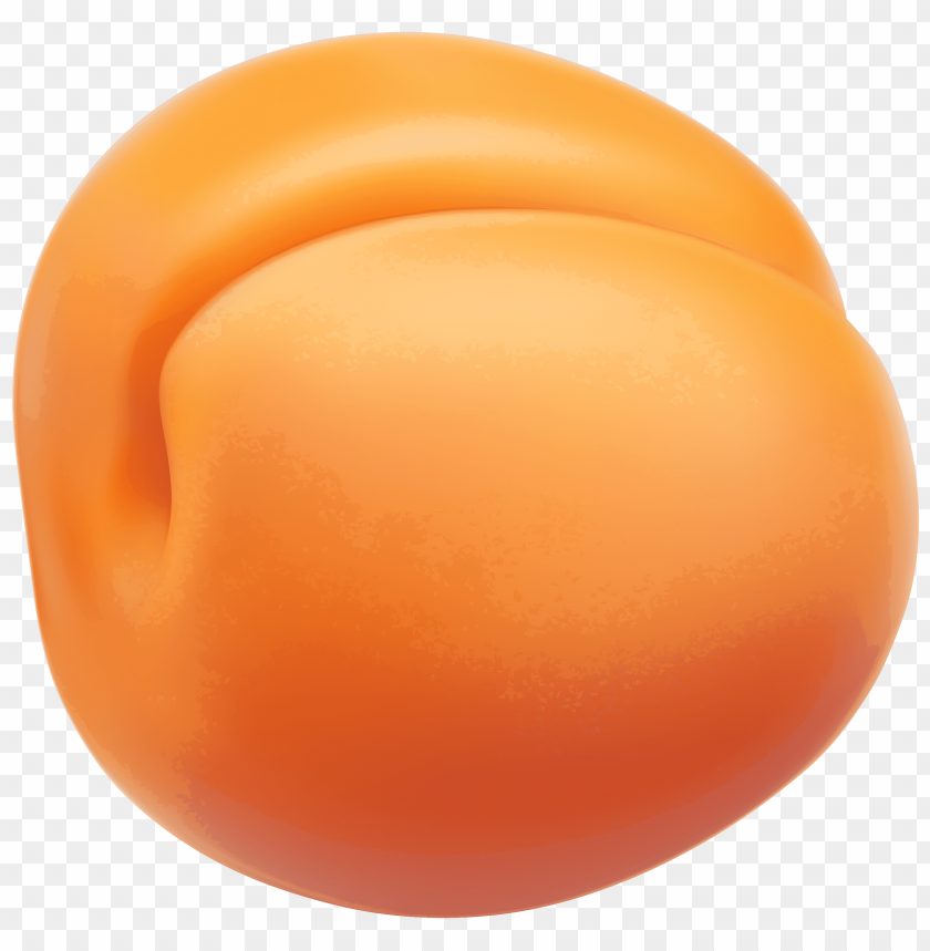 apricot clipart png photo - 32928