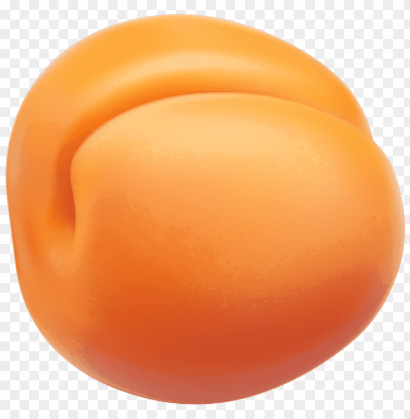 apricot clipart png photo - 35650