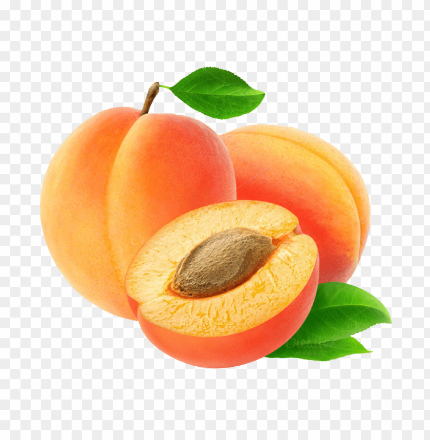 apricot image png - Free PNG Images ID 6683