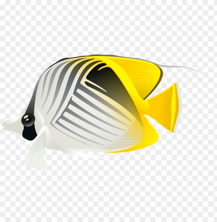 free PNG Download aquarium fish clipart png photo   PNG images transparent