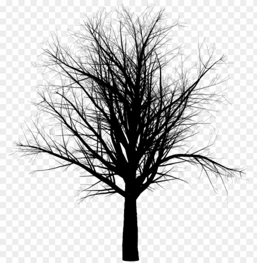 arbol blanco y negro PNG image with transparent background | TOPpng
