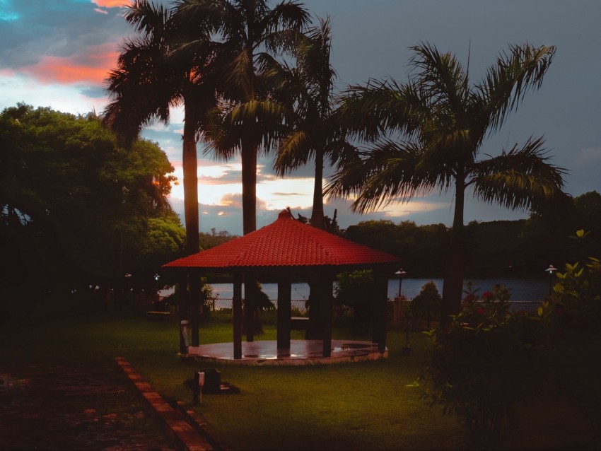 arbor, palm trees, sunset, sky, tropics