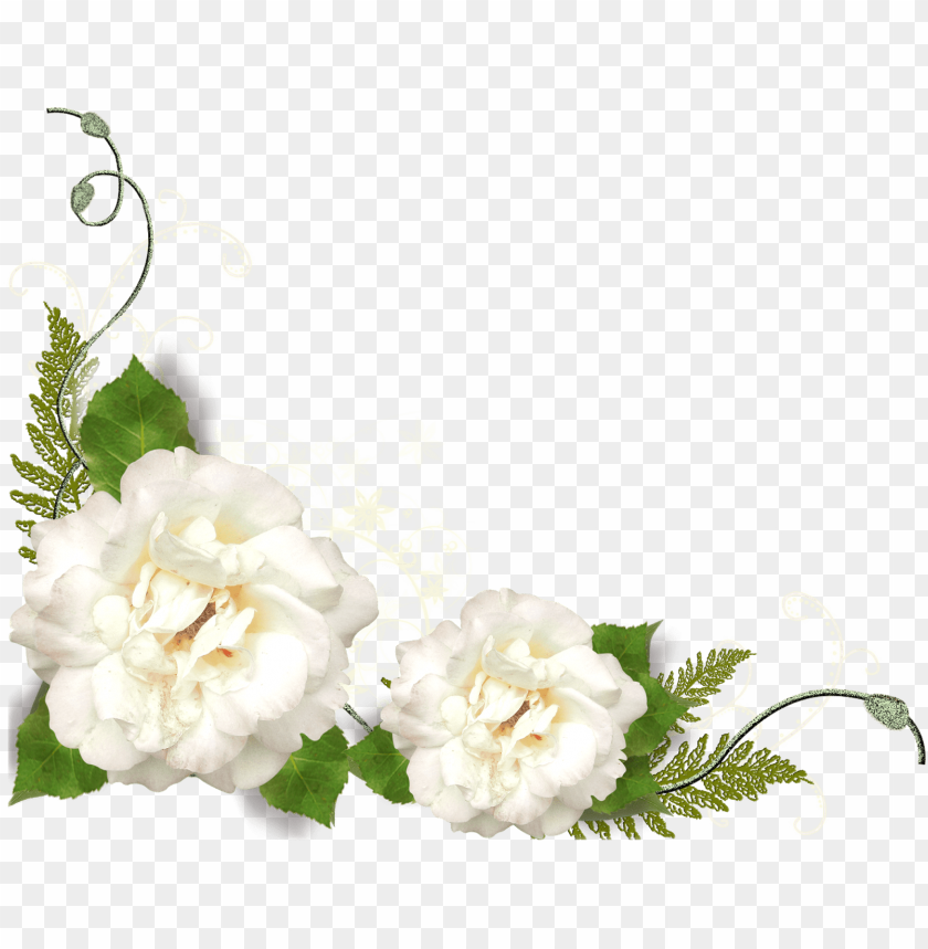 Ardenia Flowers Png Transparent Image Rose White Corner Png Image With Transparent Background Toppng