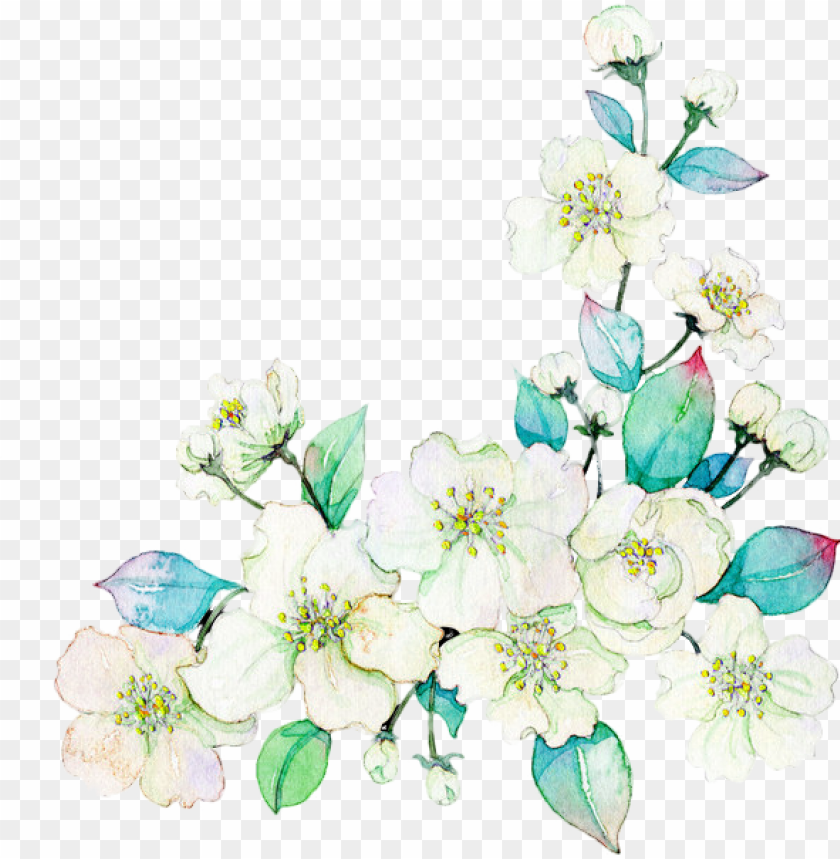 background, rose, watercolor flower, tree, banner, flower frame, water color