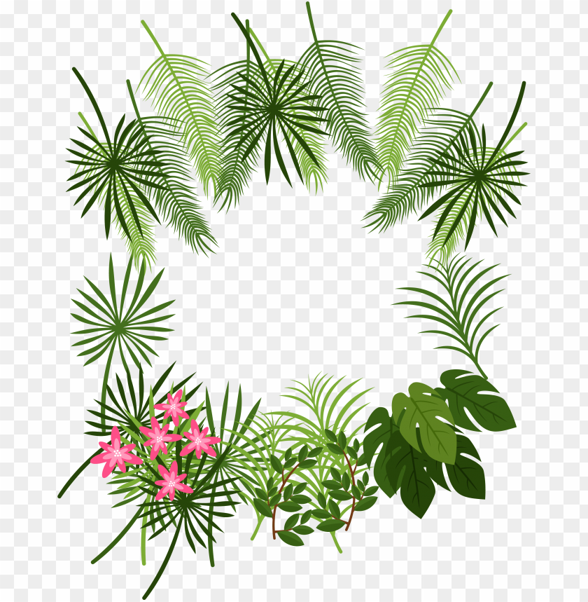free PNG arecaceae leaf tropics plant decoration box transprent - tropical leaves border PNG image with transparent background PNG images transparent
