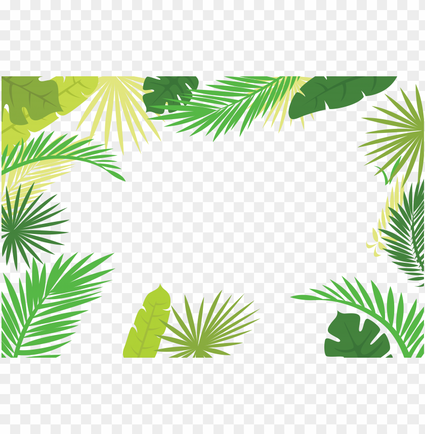 arecaceae text branch leaf - palm leaf border PNG image with transparent background@toppng.com