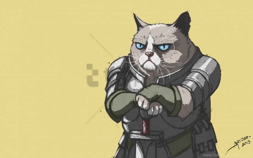 armor, grumpy cat, meme, popular wallpaper background best stock photos@toppng.com