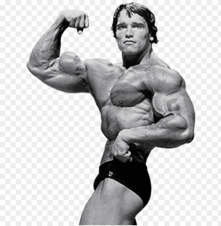 Arnold Schwarzenegger Tribute Page - Si Sweeney - The signature pose Arnold  Schwarzenegger | Facebook