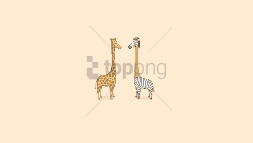 Art, Giraffe, Humor, Minimalism, Zebra Wallpaper Background Best Stock Photos