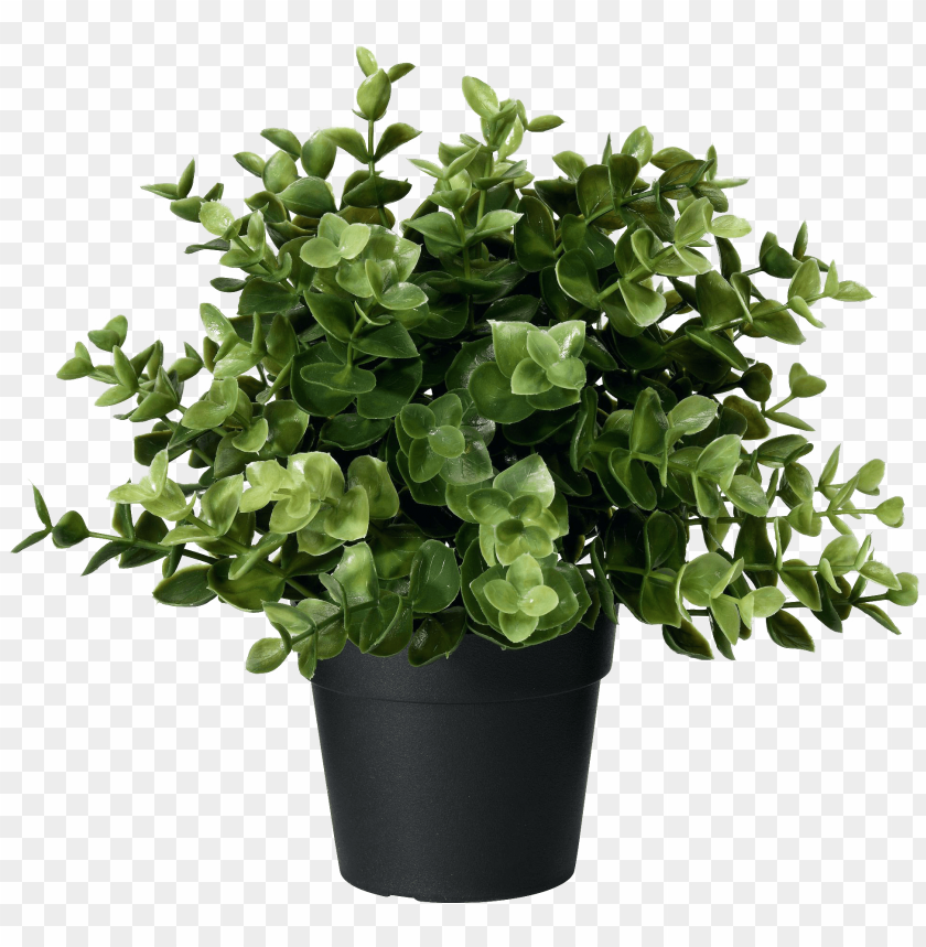 free PNG artificial potted plant oregano png image - ikea artificial plant PNG image with transparent background PNG images transparent