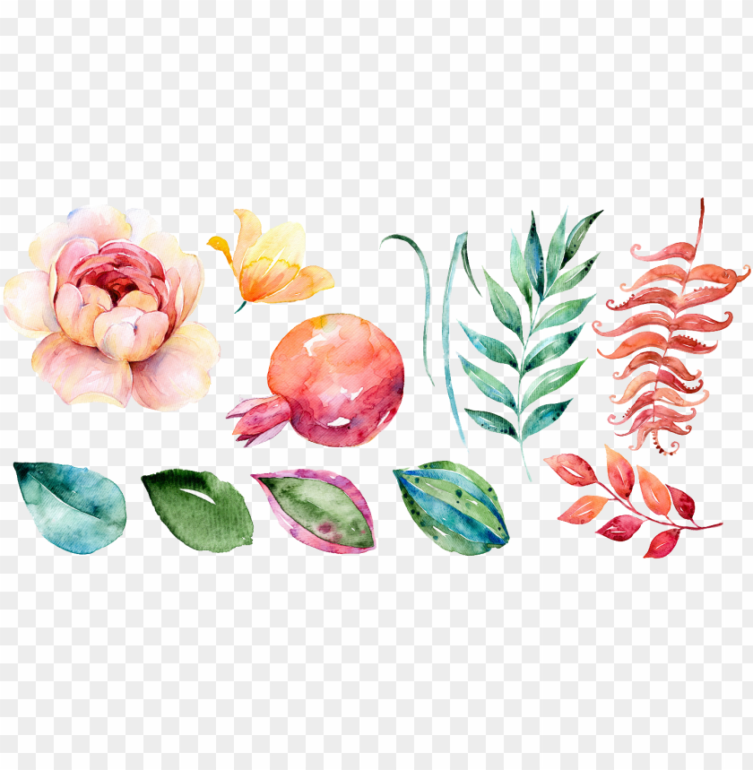 artistic clipart watercolor paint hojas flores acuarela PNG image with  transparent background | TOPpng