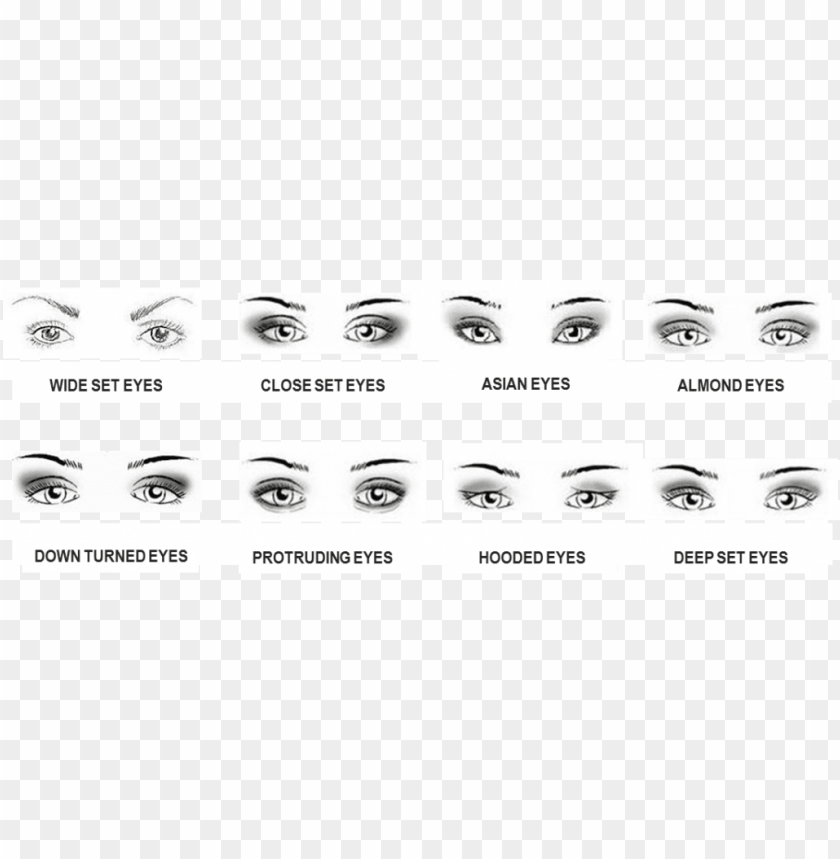 Asian Eyes Vs Almond Eyes PNG Image With Transparent Background@toppng.com