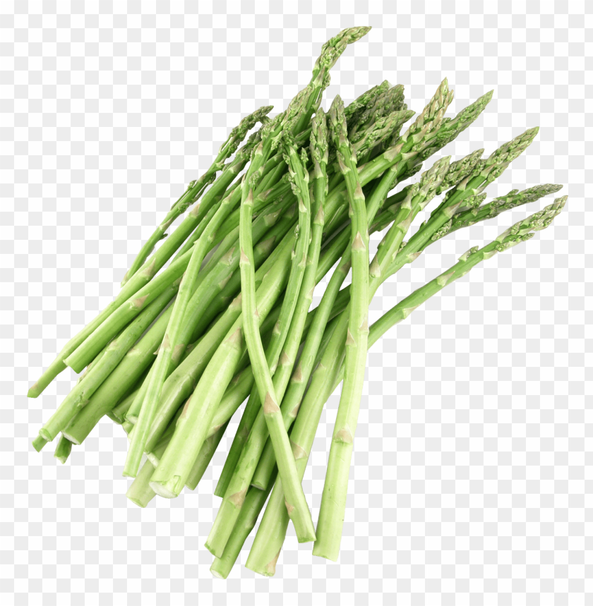 Asparagus PNG Images With Transparent Backgrounds - Image ID 11900