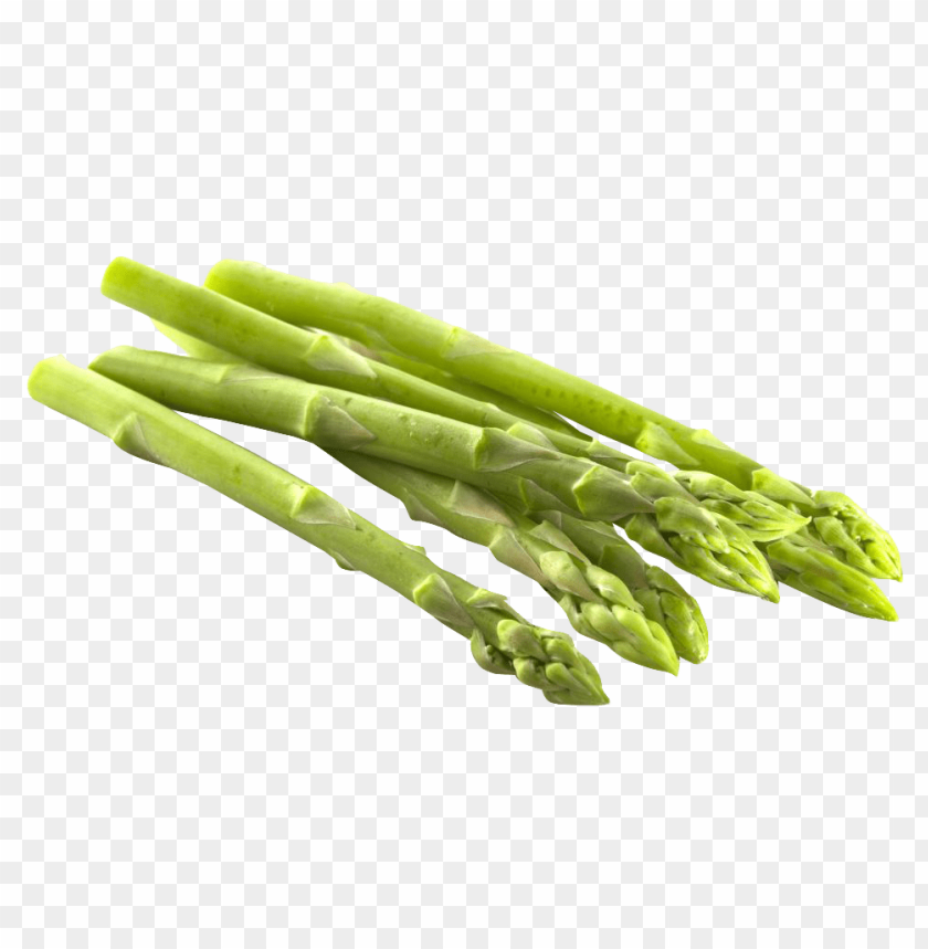 Asparagus PNG Images With Transparent Backgrounds - Image ID 11911