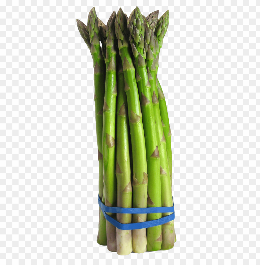Asparagus PNG Images With Transparent Backgrounds - Image ID 13371