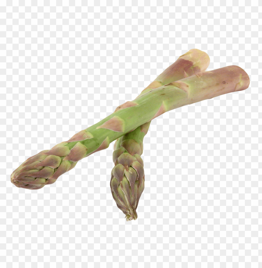 asparagus PNG images with transparent backgrounds - Image ID 13378