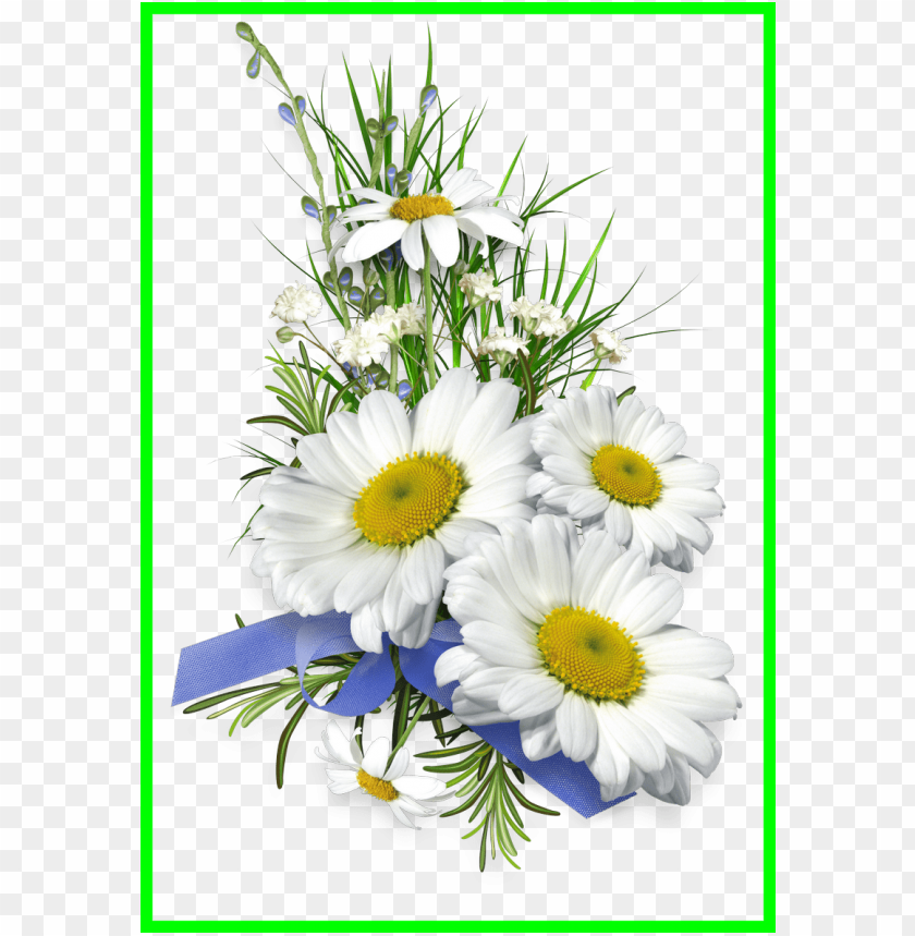nature, daisy, symbol, summer, flower, daisies, fleur de lis