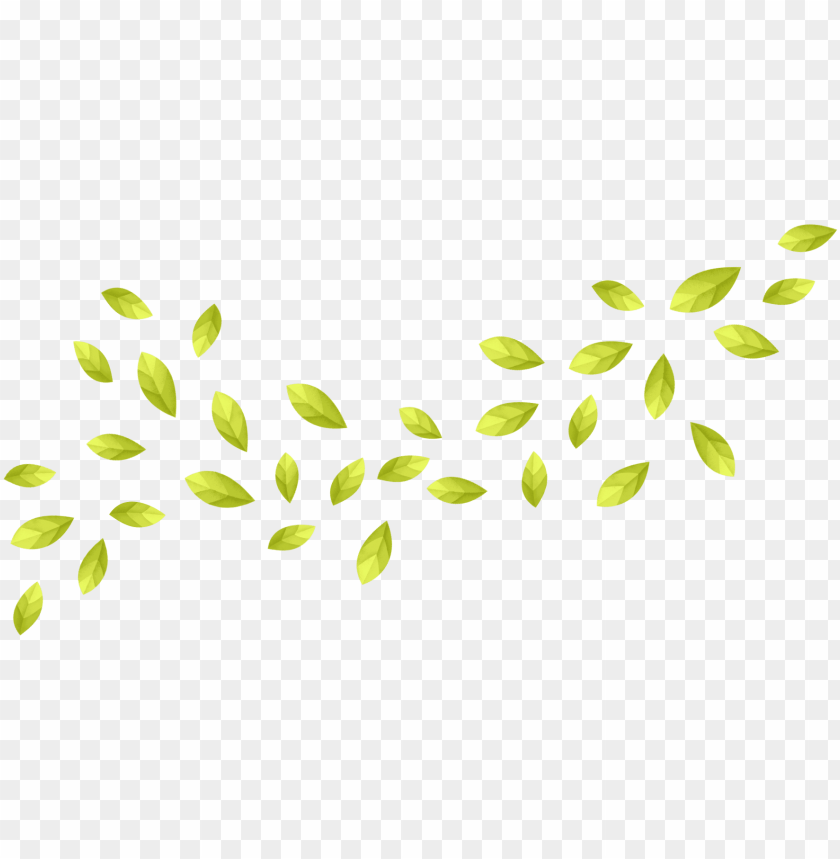 background, leaves, fruit, leaf pattern, illustration, maple leaf, isolated