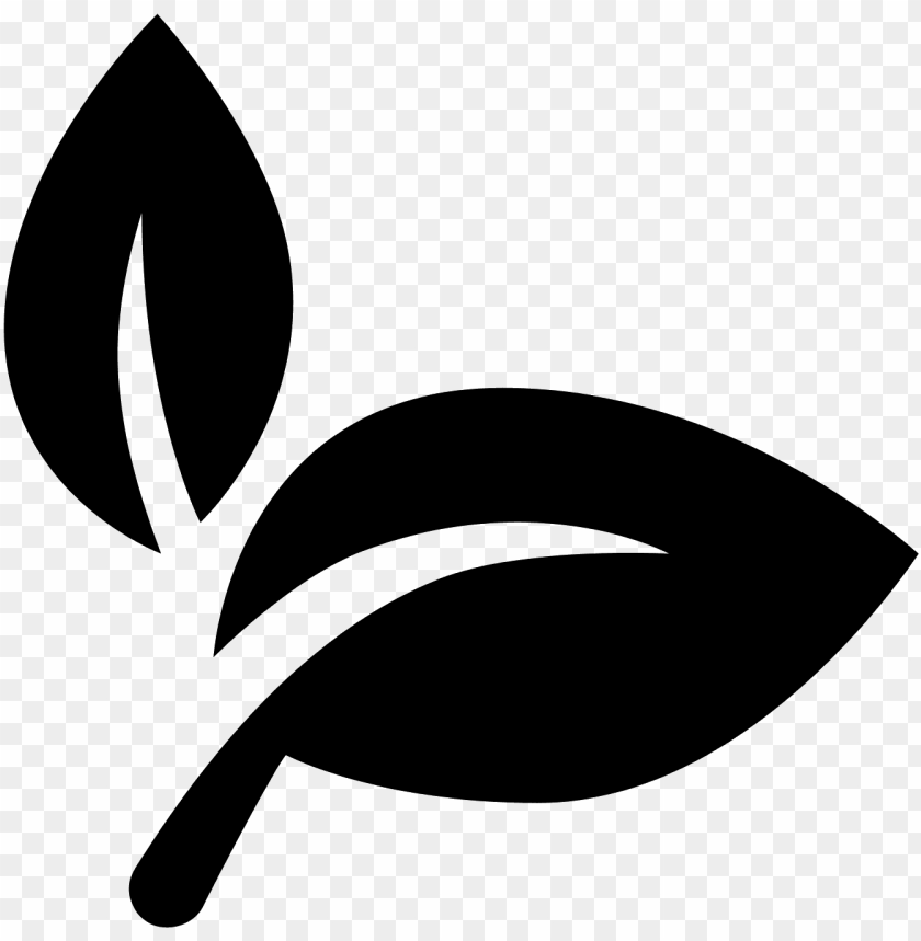 nature, leaves, symbol, leaf pattern, restaurant, branch, logo