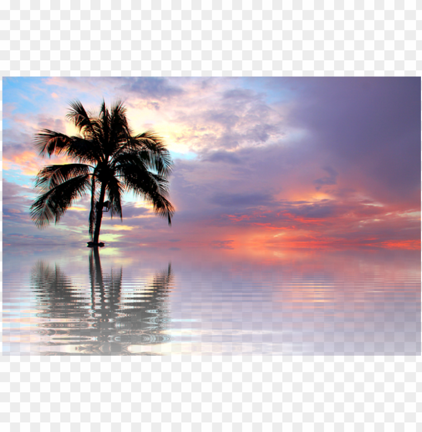 ature palm water beach background backgrounds - beach sunset PNG image with transparent background@toppng.com