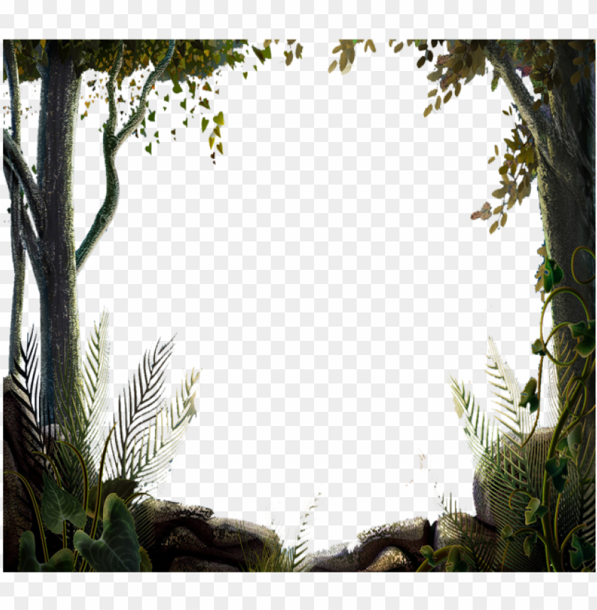 ature tree forest border vector tree nature design nature tree border desi PNG transparent with Clear Background ID 166933