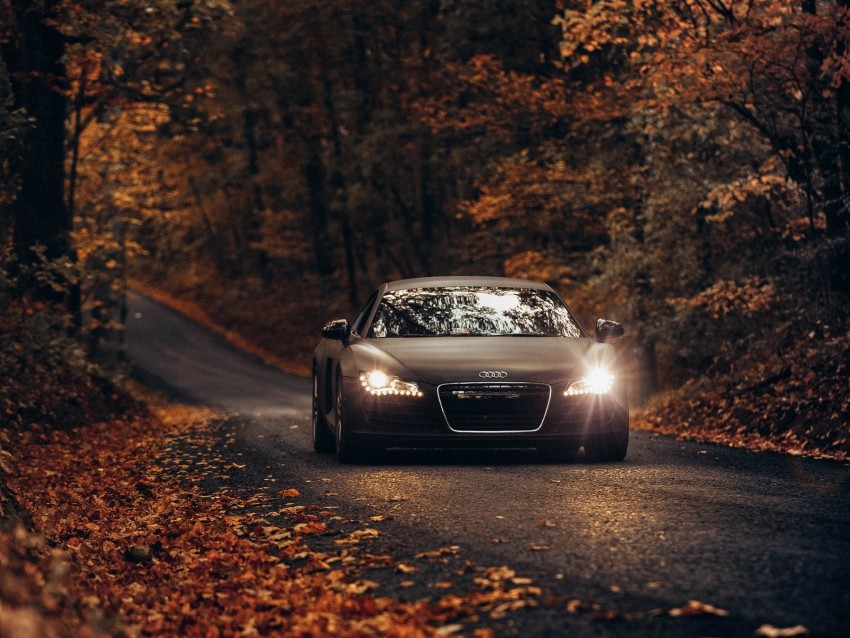 Audi Tt Audi Road Autumn Movement Asphalt Background Toppng