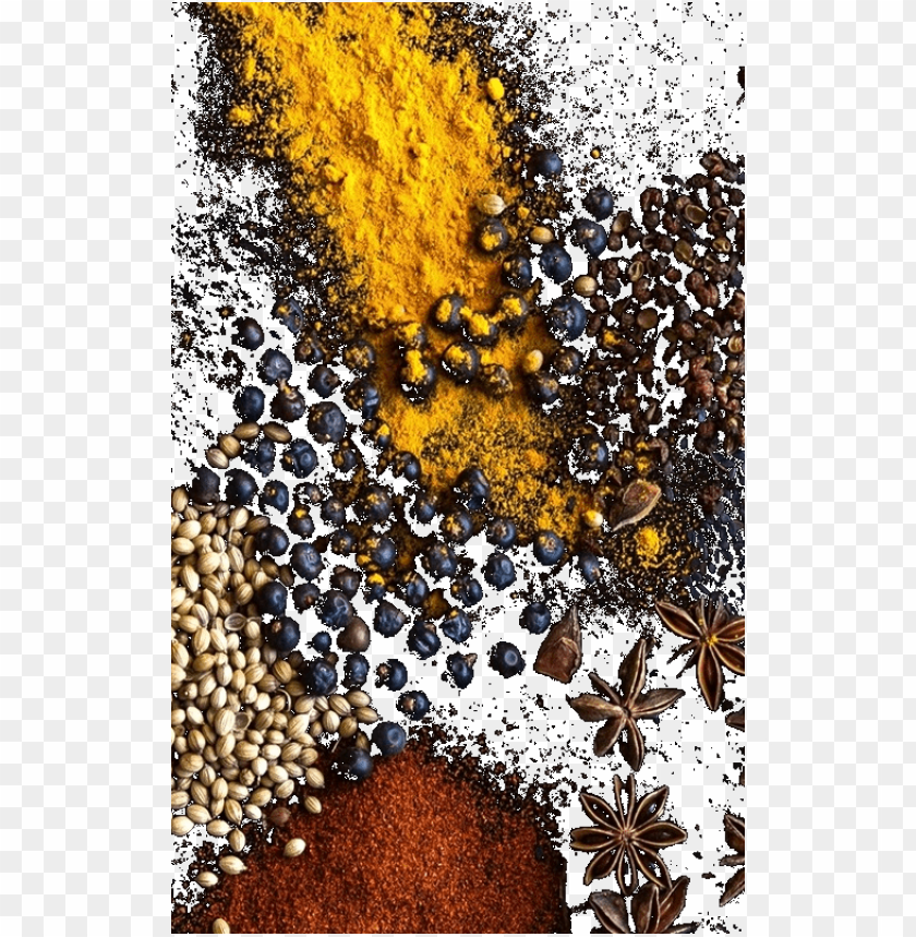 Autum PNG Image With Transparent Background