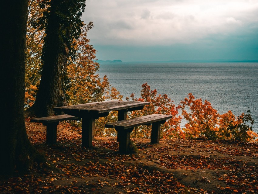 Autumn Benches Table Sea Shore Trees Foliage Png - Free PNG Images