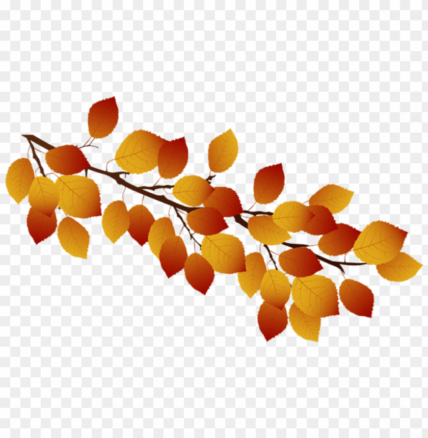 Ветка осенних листьев. Осенняя ветка. Ветка с осенними листьями. Ветка на прозрачном фоне.