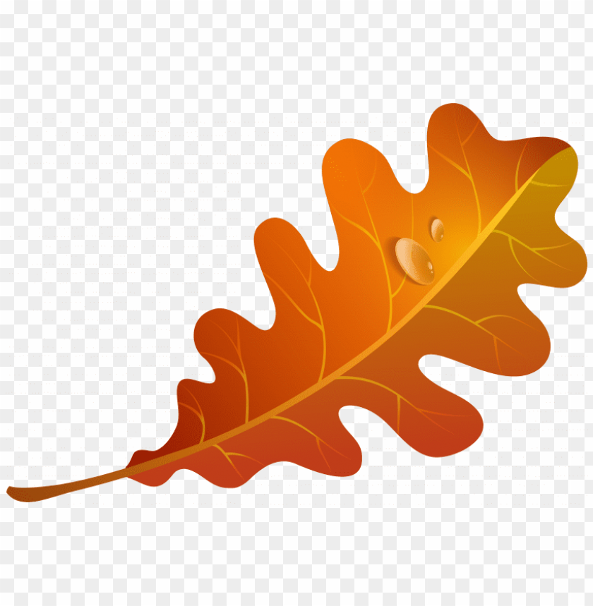 fall, illustration, flower, food, season, graphic, leaf pattern