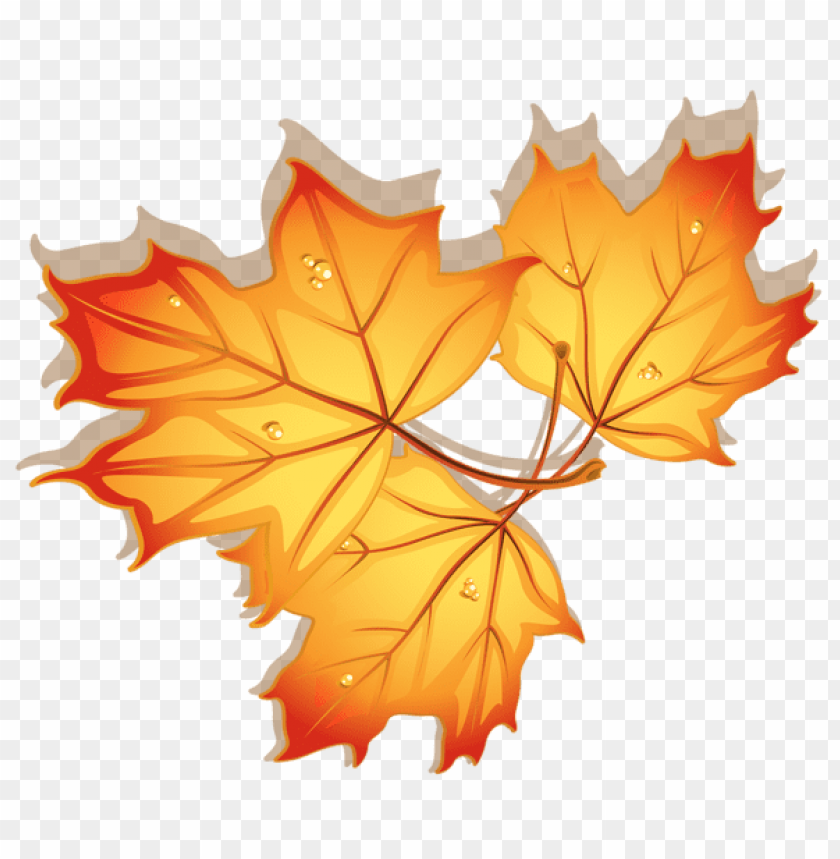 autumn leaves clipart png photo - 55359