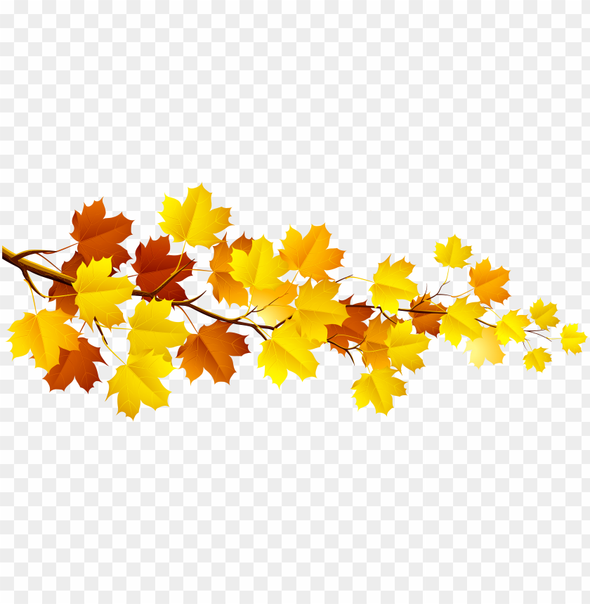 fall, illustration, autumn, food, season, graphic, background