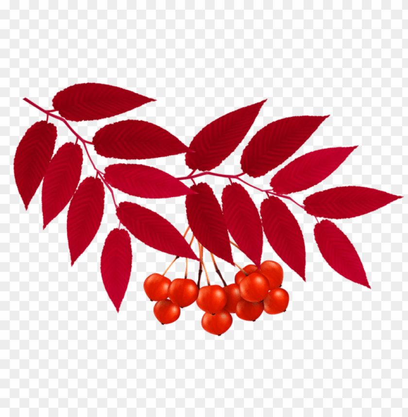 autumn red leaves decoration clipart png photo - 55876