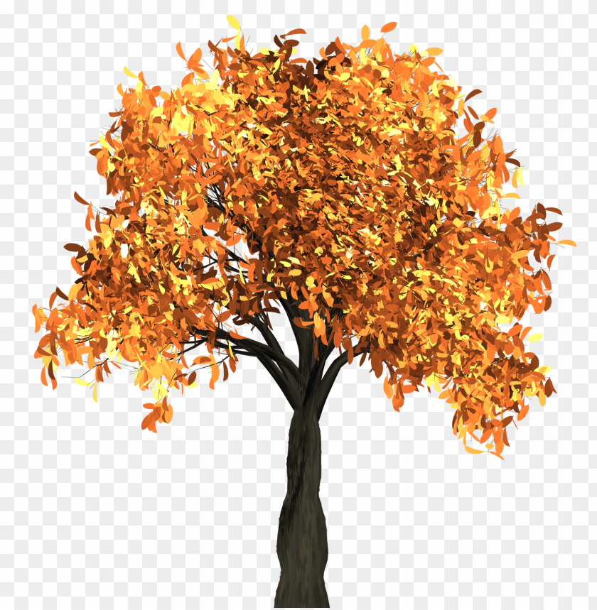 
nature
, 
tree
, 
autumn
, 
maple
, 
fall
