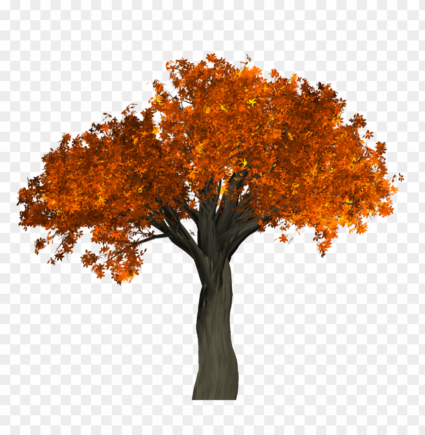 
nature
, 
tree
, 
autumn
