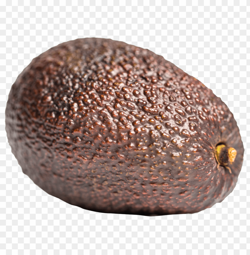 avocado png - Free PNG Images ID 5631