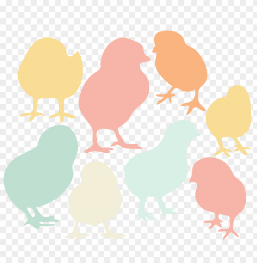 Baby Chick Silhouette Set Svg Scrapbook Title Cat Svg Baby Chicks Sv PNG Image With Transparent Background