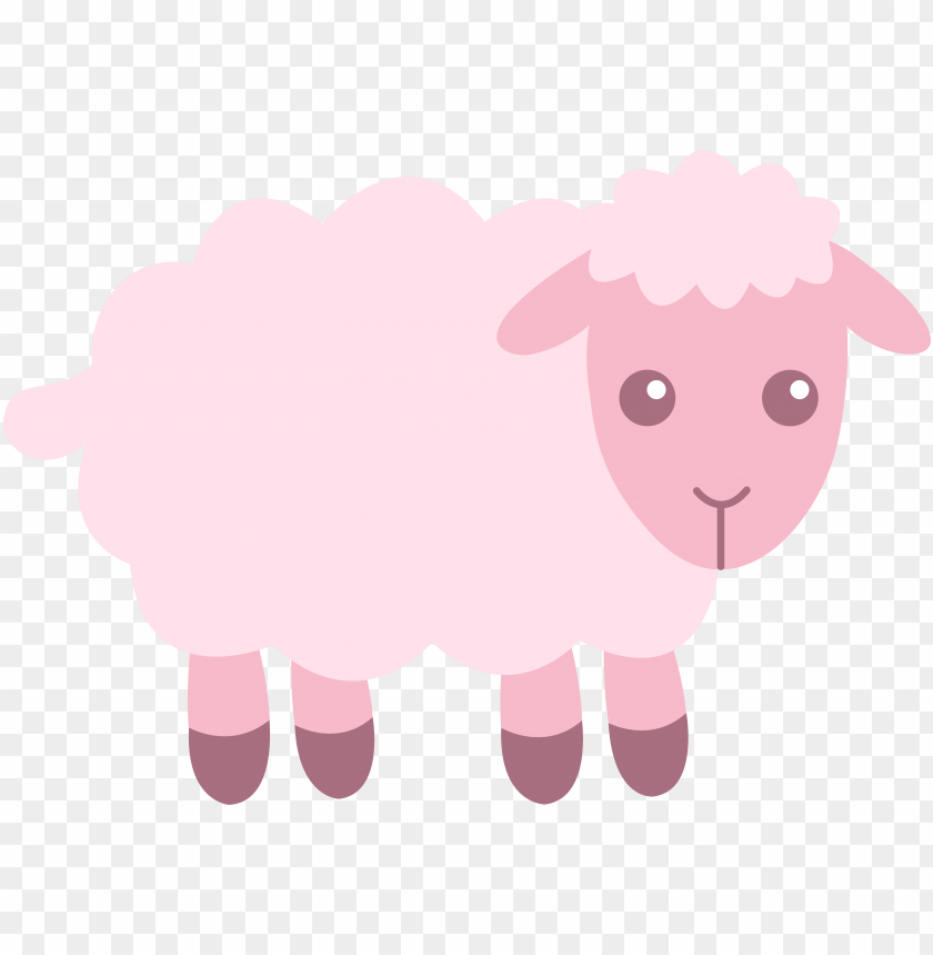 baby shower, farm, pattern, wool, isolated, lamb, wallpaper