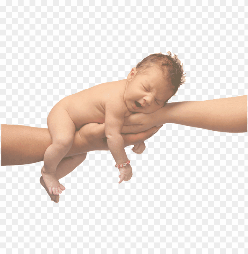 baby friendly online education her two dads PNG transparent with Clear Background ID 216208