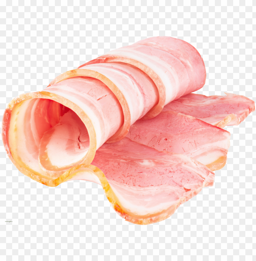 For Epictimtam Me As Robloxs Bacon - Cartoo PNG Transparent With