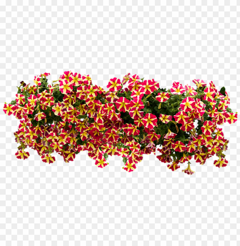 balcony flowers PNG transparent with Clear Background ID 197915